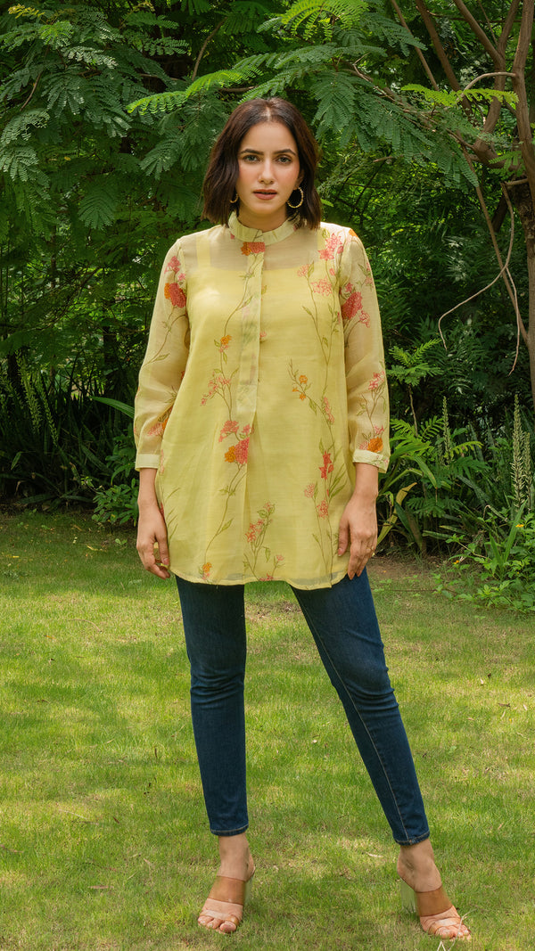 Amvi Short Top In Mul Chanderi Silk - Light Green