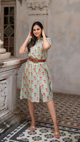 Aanya Cotton Silk Dress - Powder Green